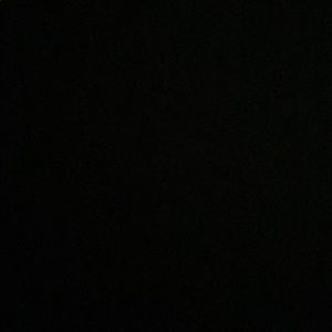 Meet your Posher, Gianna